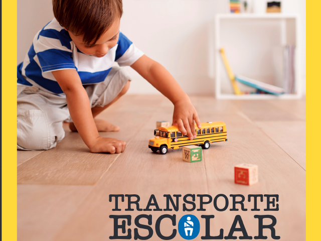 Transporte Escolar: Situación actual y oportunidades de mejora (2015)