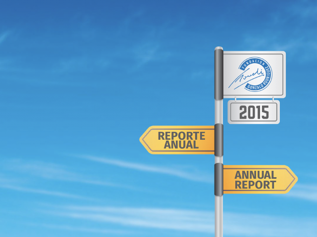 Reporte Anual 2015