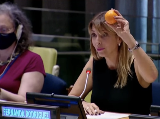 Reunión de Alto Nivel de las Naciones Unidas