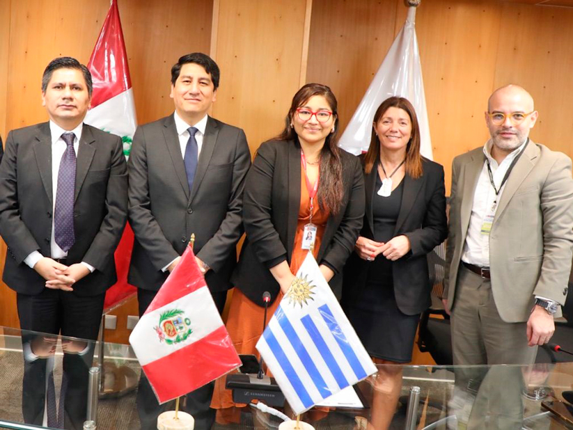 Primera Misión de la Delegación de la Fundación Gonzalo Rodríguez en Lima, Perú